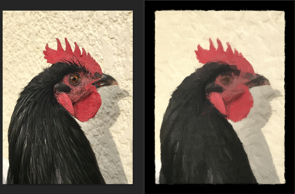 A side by side comparison image.  The first is a photo of a roosters head.  It is a black rooster standing against a yellow stucco background.  The second image is the same, except run through a paint filter to make it appear painted with a brush.